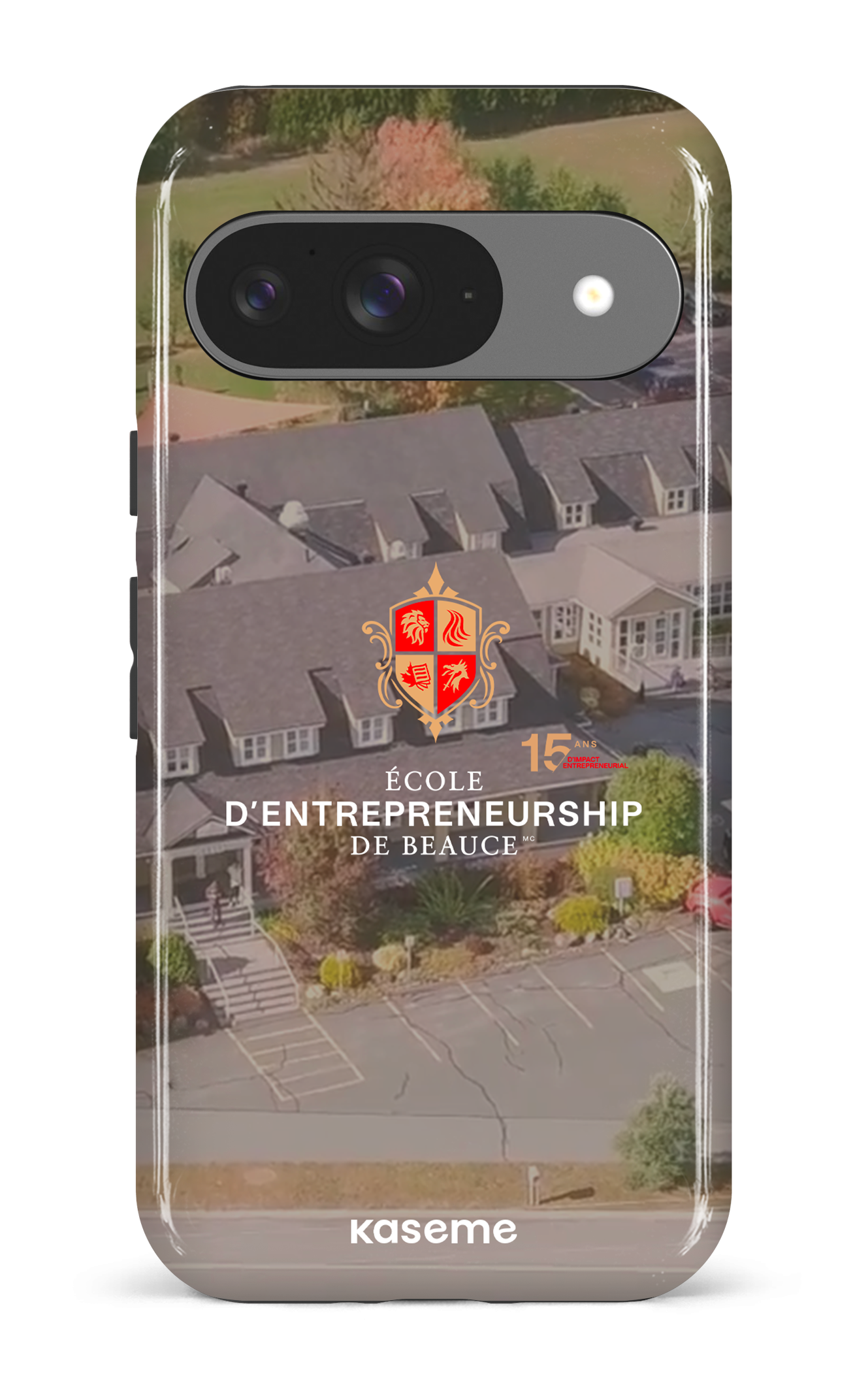 Google Pixel 9 Impact (Gloss) 15 ans EEB -