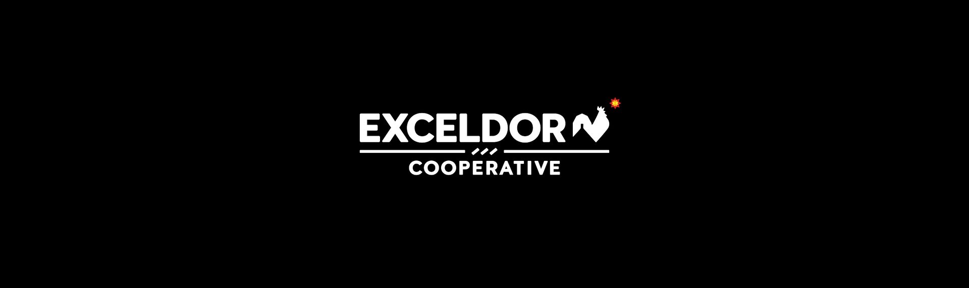 Exceldor