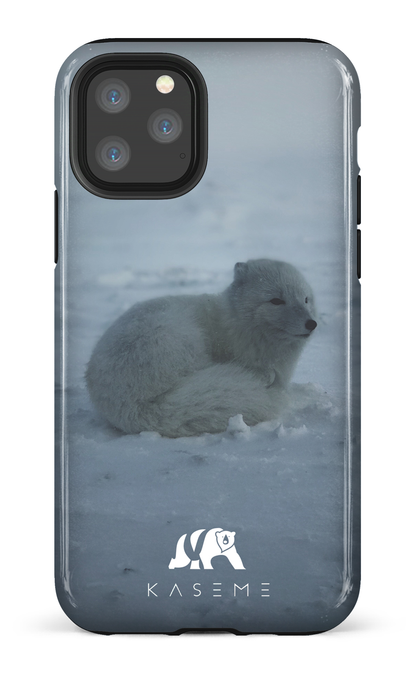Renard Polaire - iPhone 11 Pro