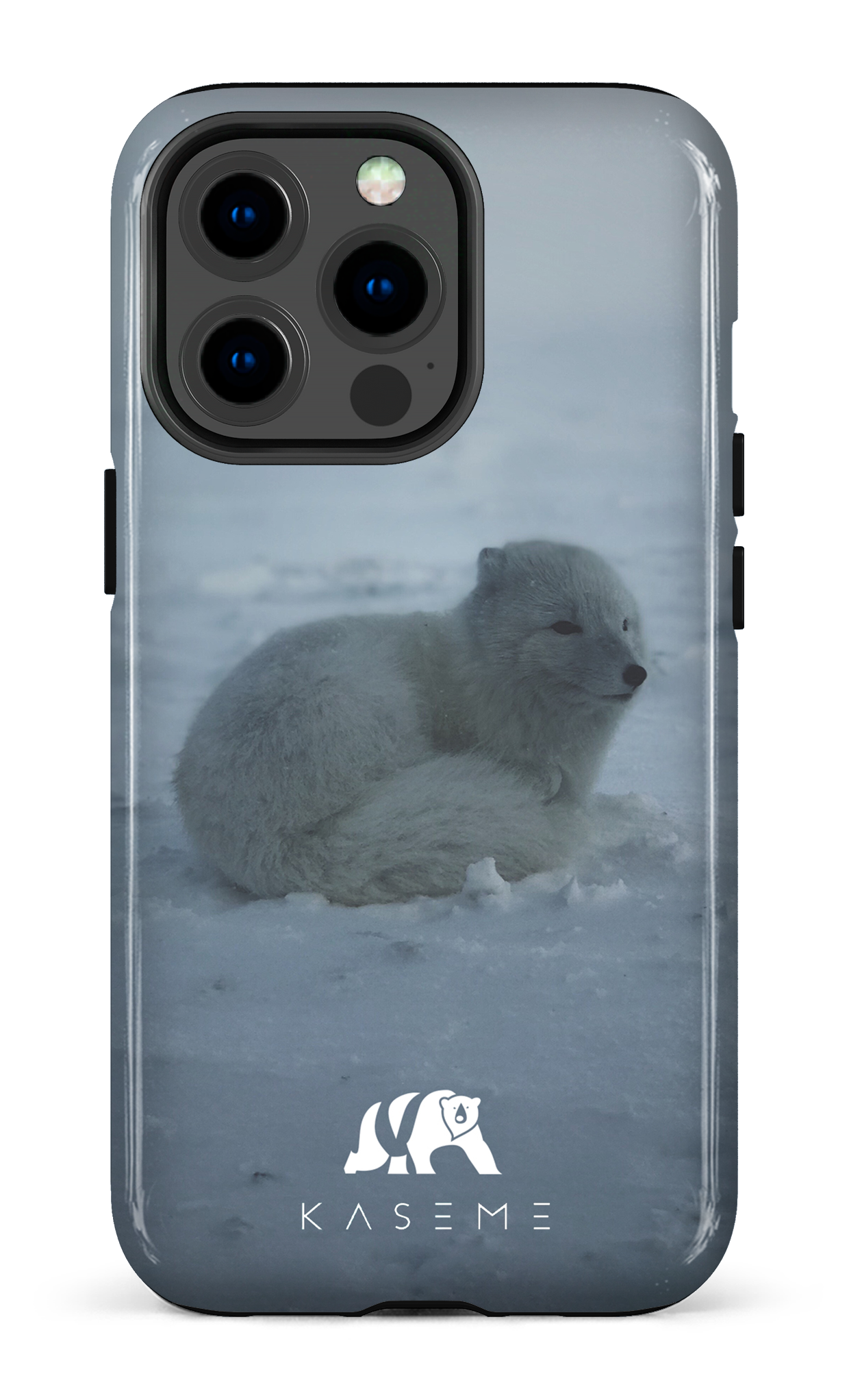 Renard Polaire - iPhone 13 Pro