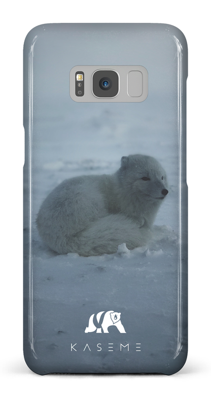 Renard Polaire - Galaxy S8