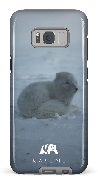 Renard Polaire - Galaxy S8 Plus