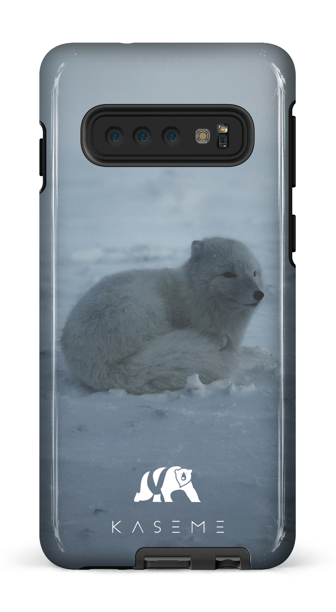 Renard Polaire - Galaxy S10