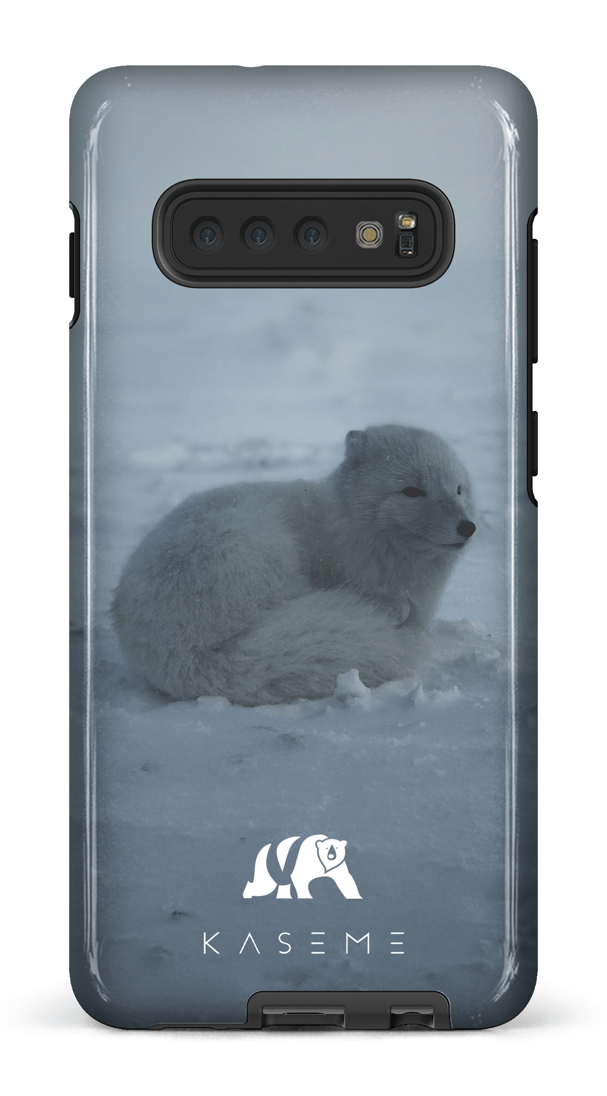 Renard Polaire - Galaxy S10 Plus