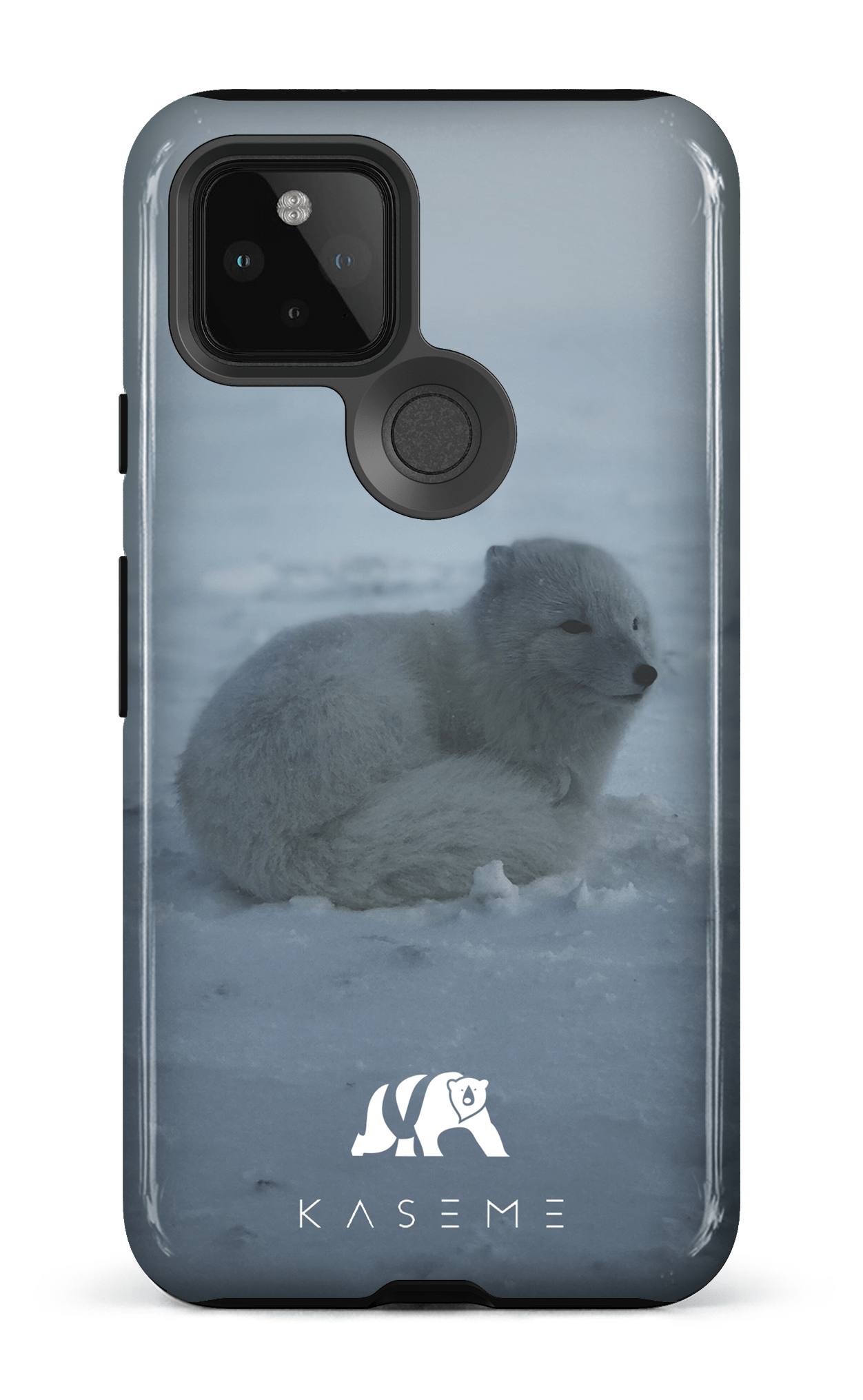 Renard Polaire - Google Pixel 5