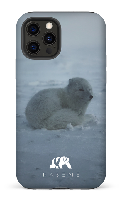 Renard Polaire - iPhone 12 Pro