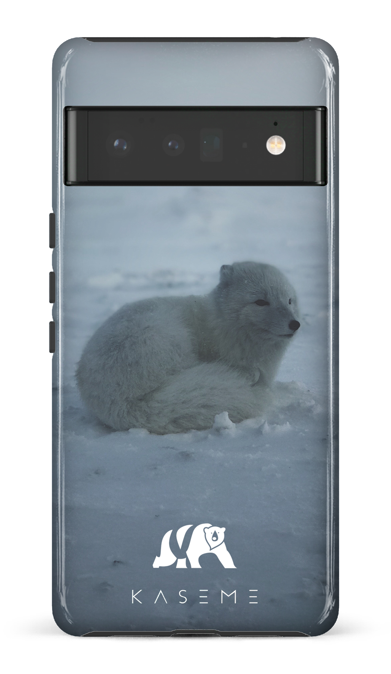 Renard Polaire - Google Pixel 6 pro