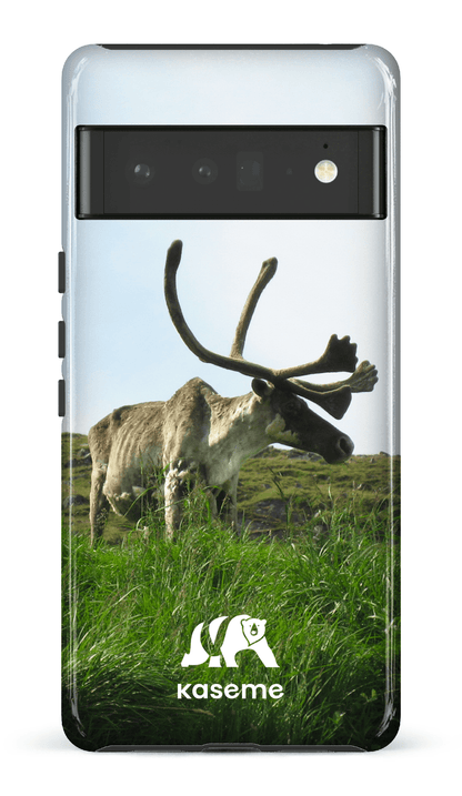 Caribou - Google Pixel 6 pro