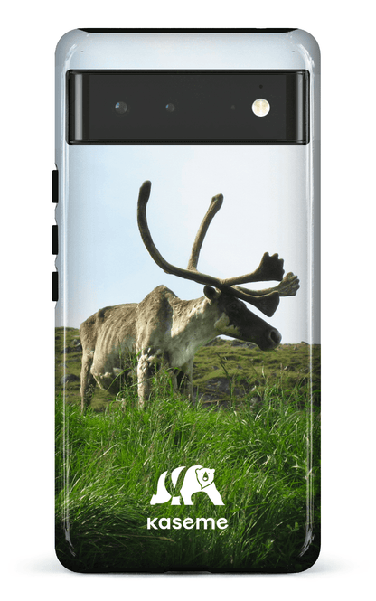 Caribou - Google Pixel 6