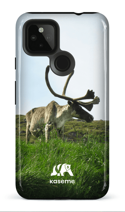 Caribou - Google Pixel 4A (5G)
