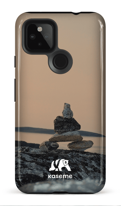 Baie Déception - Google Pixel 4A (5G)