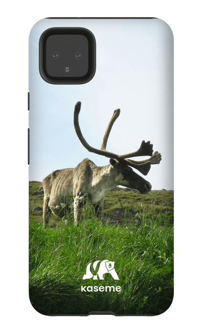 Caribou - Google Pixel 4 XL