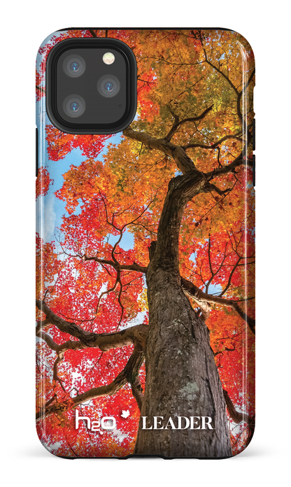 Maple by H2O - iPhone 11 Pro Max