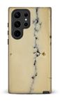 Galaxy S23 Ultra Tough Gloss Fromage Cendré -