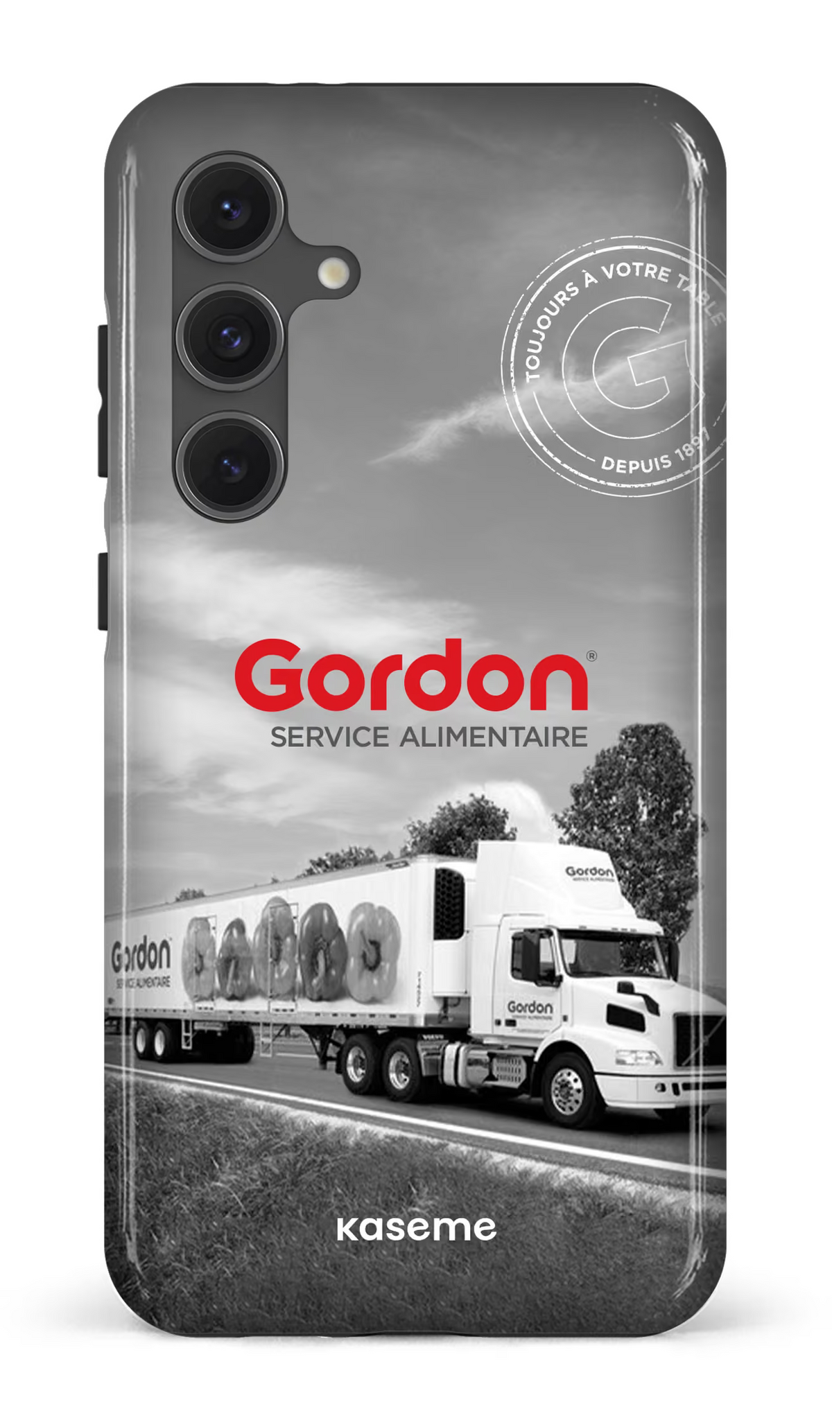 Galaxy S24FE Tough Gordon FR -