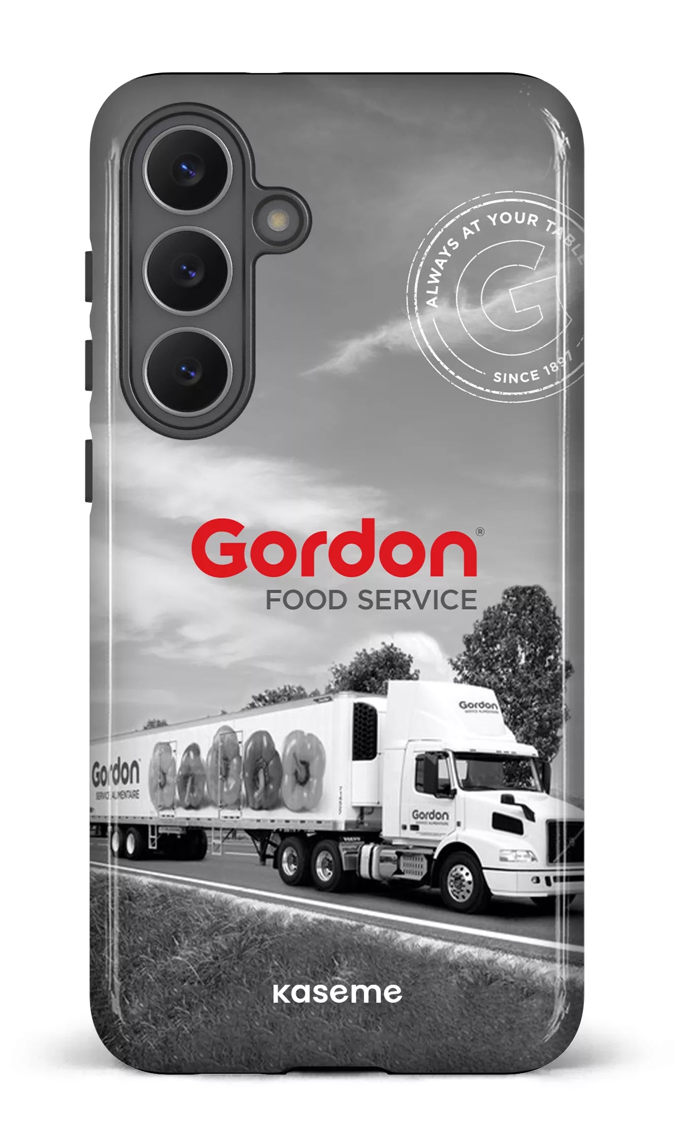 Galaxy S25 FE Tough Gordon English -