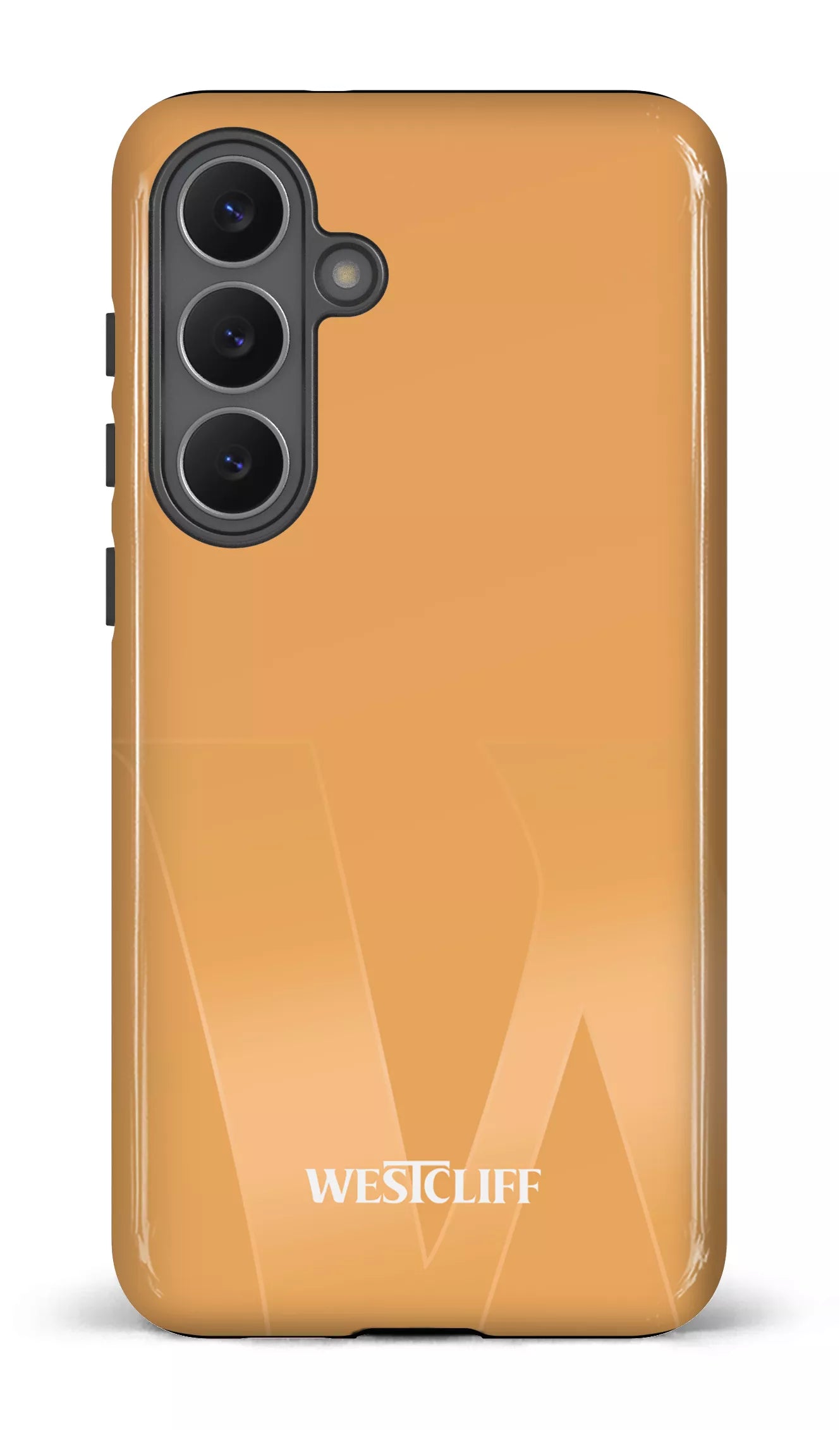 Galaxy S25 FE Tough Westcliff V3 -