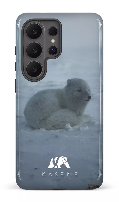 Galaxy S26 U Tough (Gloss) Renard Polaire -