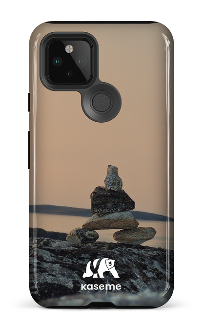 Google Pixel 5 Tough Baie Déception -