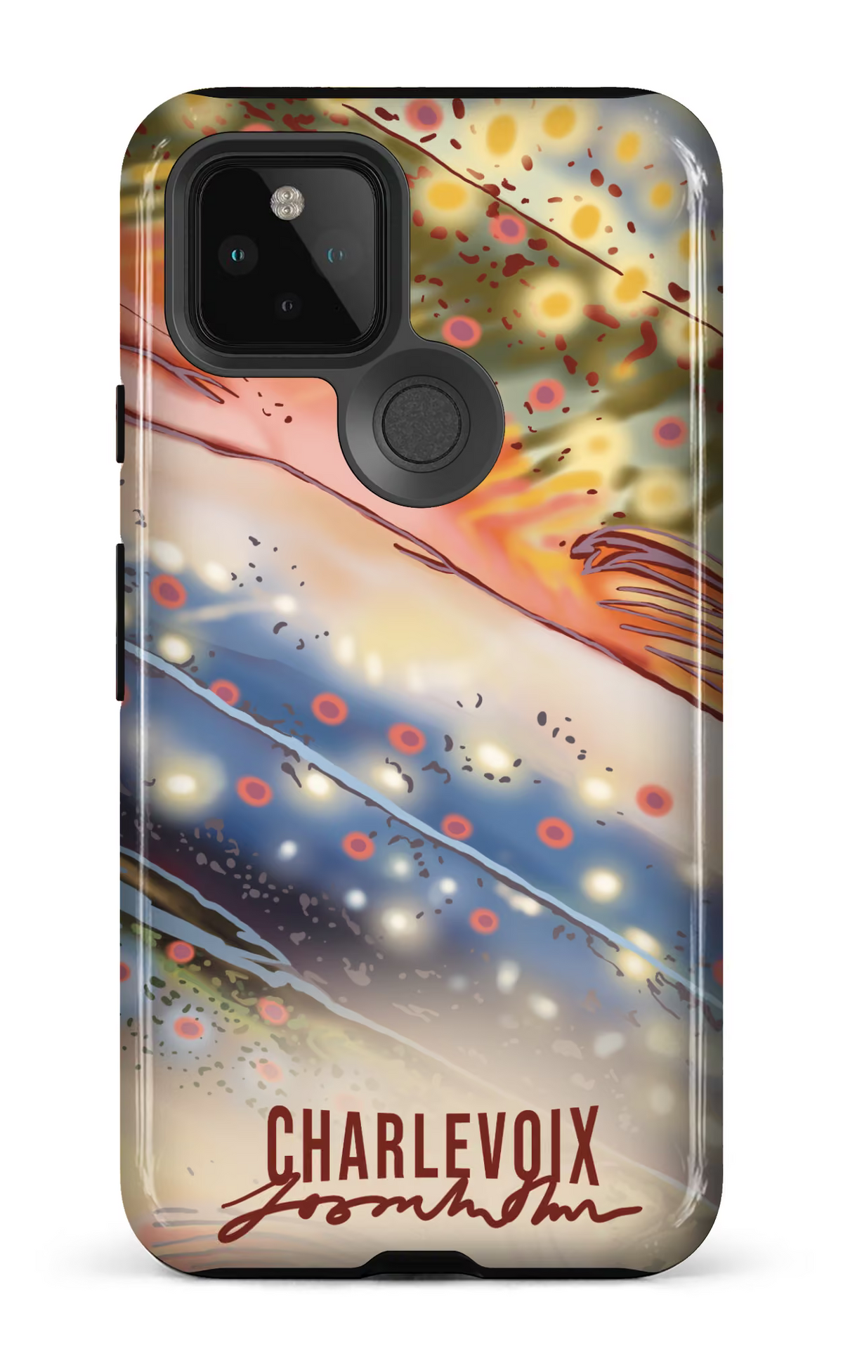 Google Pixel 5 Tough L'omble chevalier -