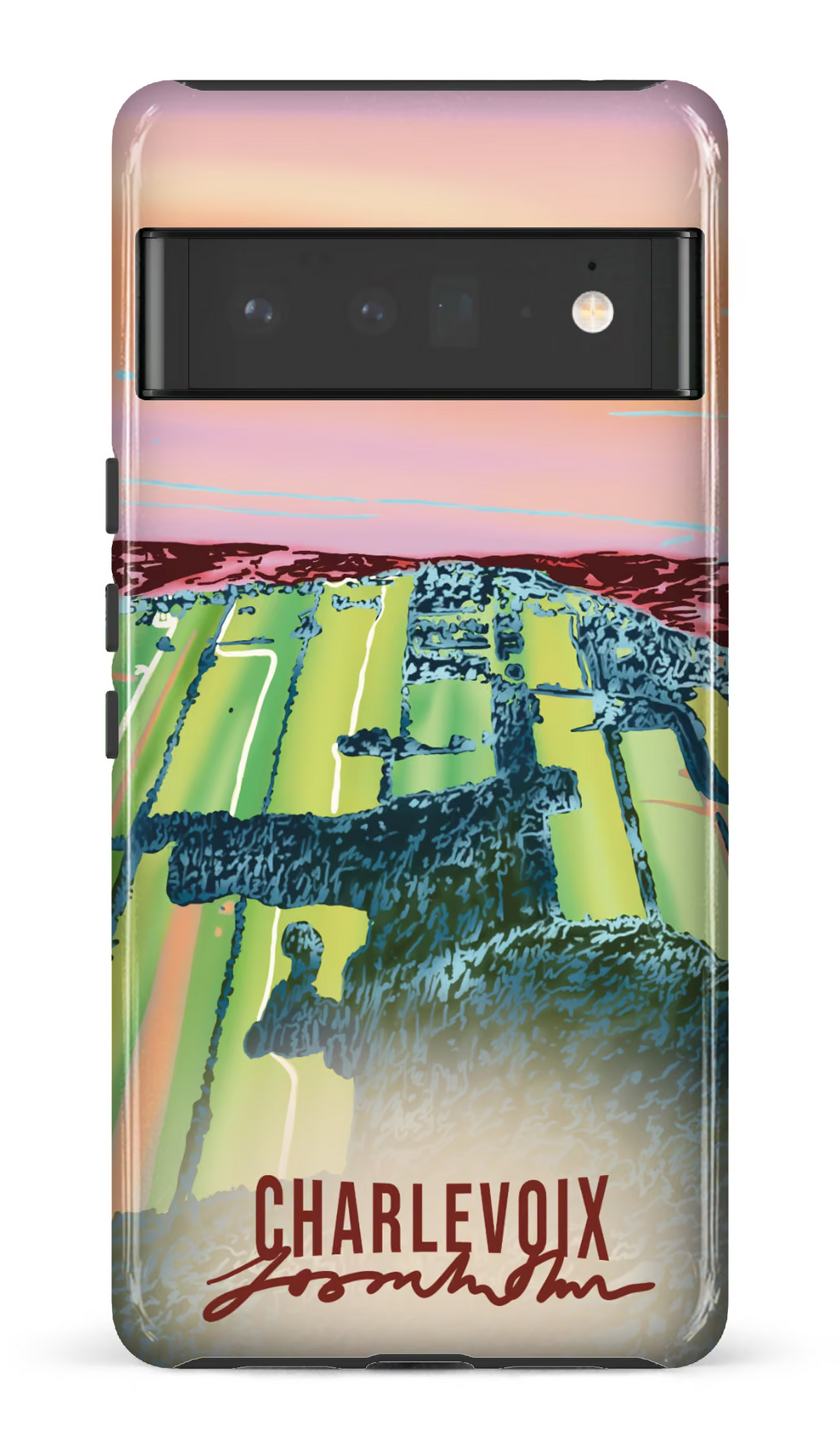 Google Pixel 6 Pro Tough (Gloss) Le temps des courges -