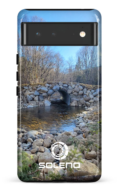 Google Pixel 6 Tough Soleno Nature 2 -