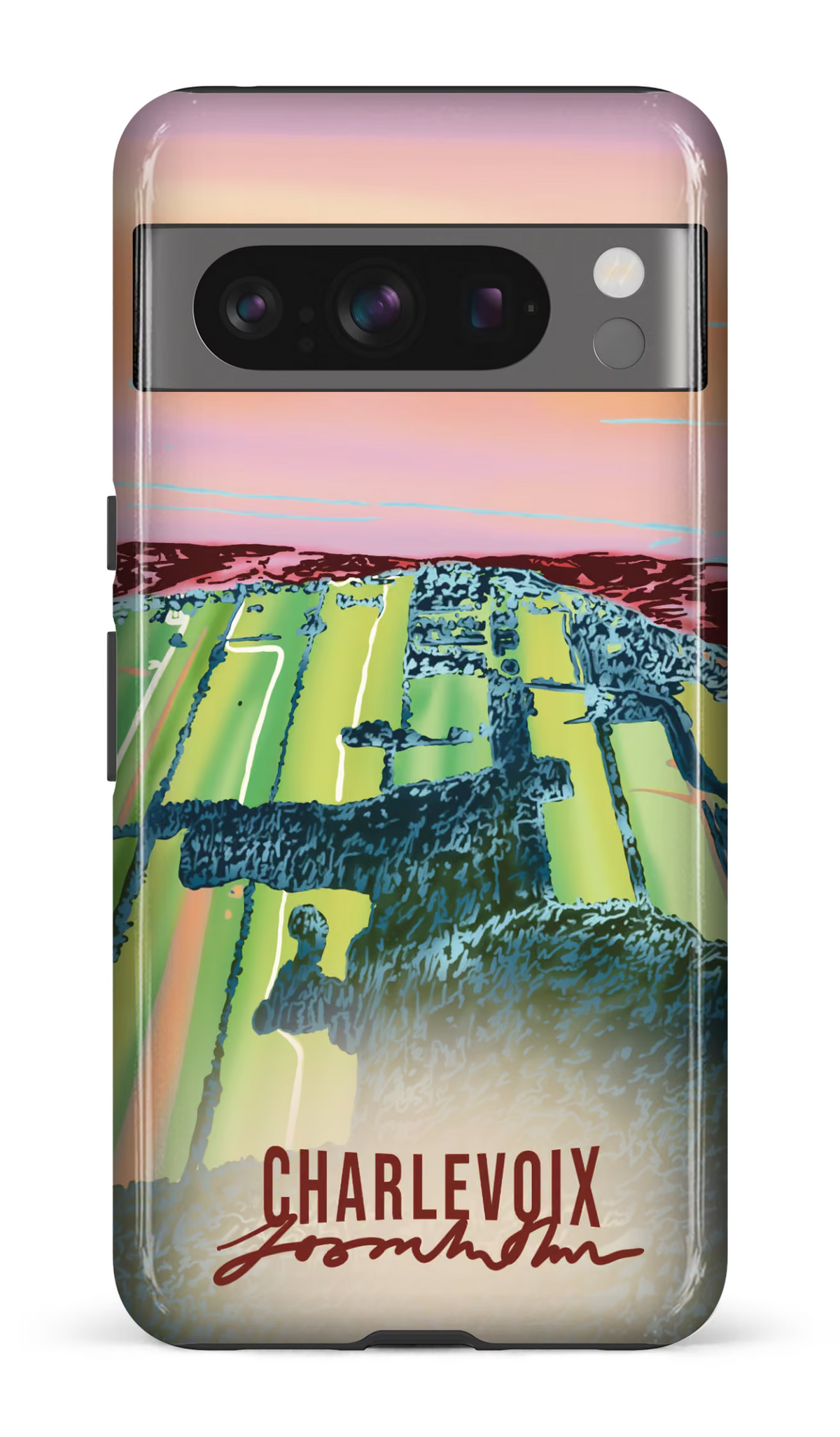 Google Pixel 8 Pro Tough Gloss Le temps des courges -
