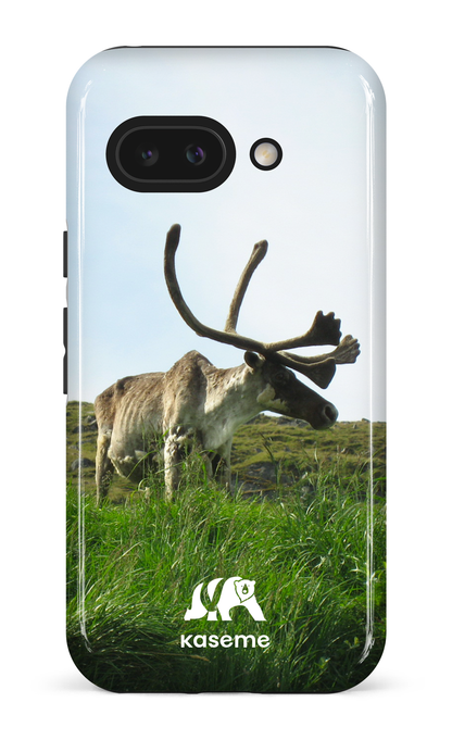 Google Pixel 9 A Impact (Gloss) Caribou -