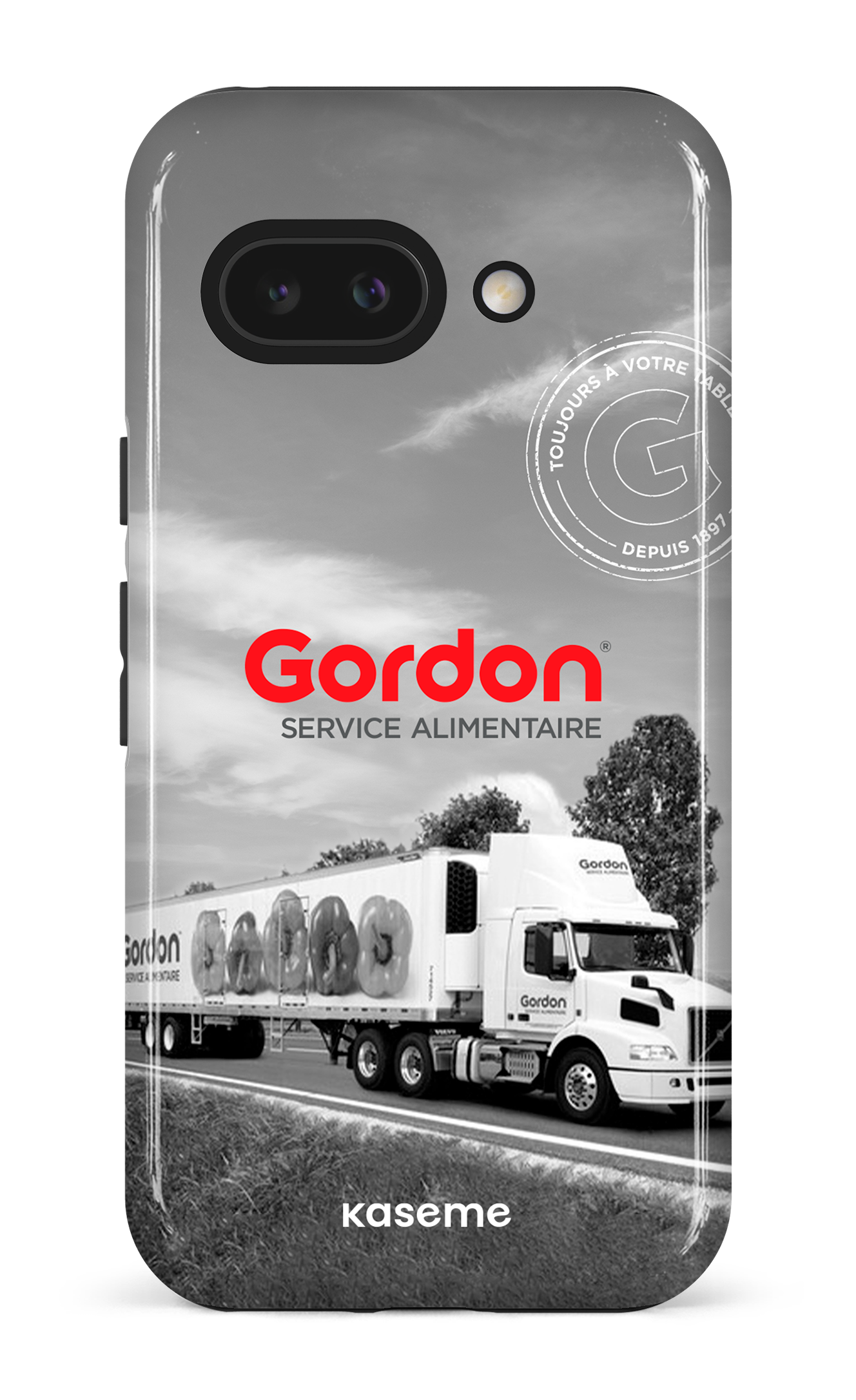 Google Pixel 9 A Impact (Gloss) Gordon Francais -