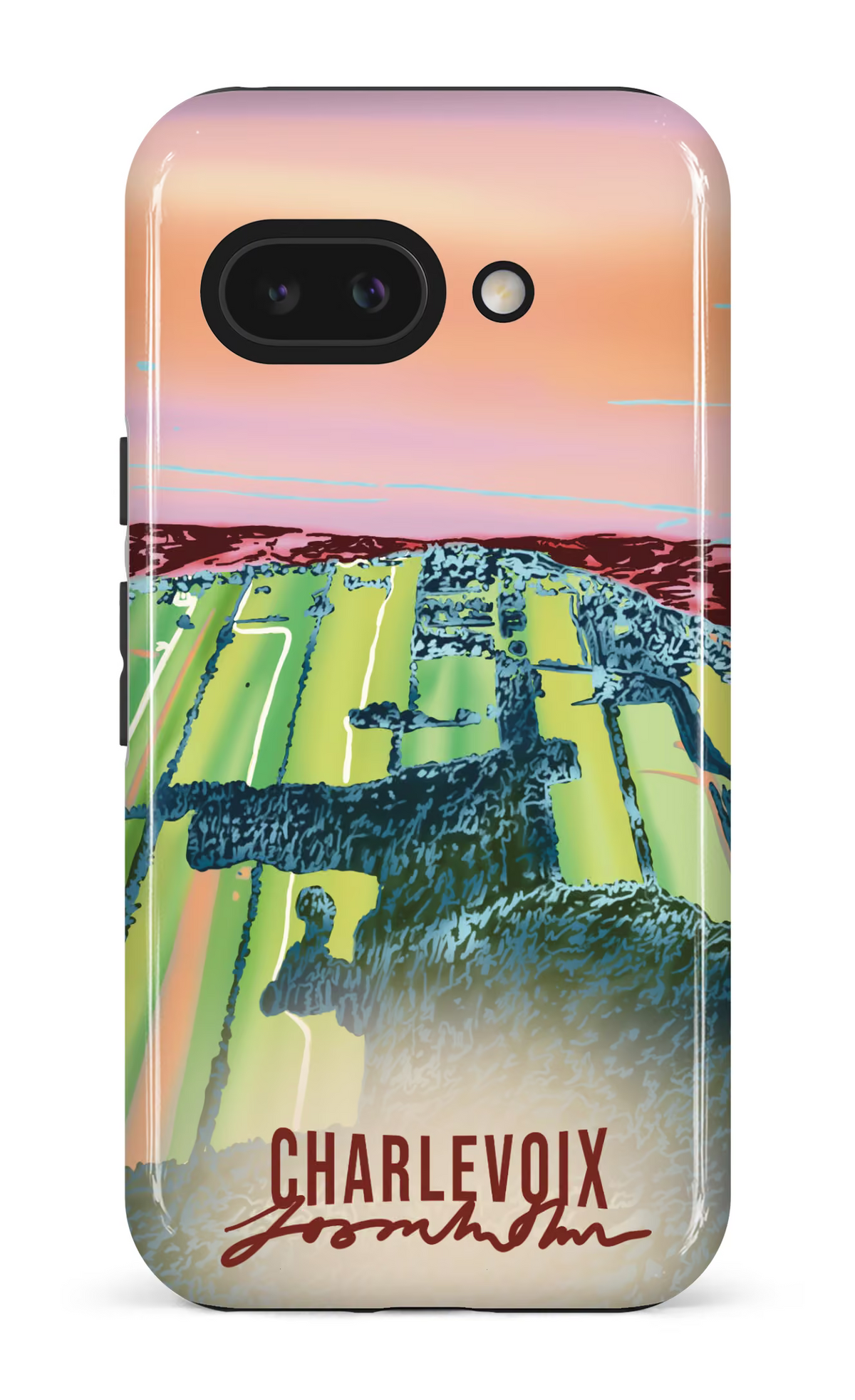 Google Pixel 9 A Impact (Gloss) Le temps des courges -