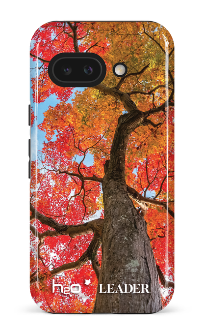Google Pixel 9 A Impact (Gloss) Maple by H2O -