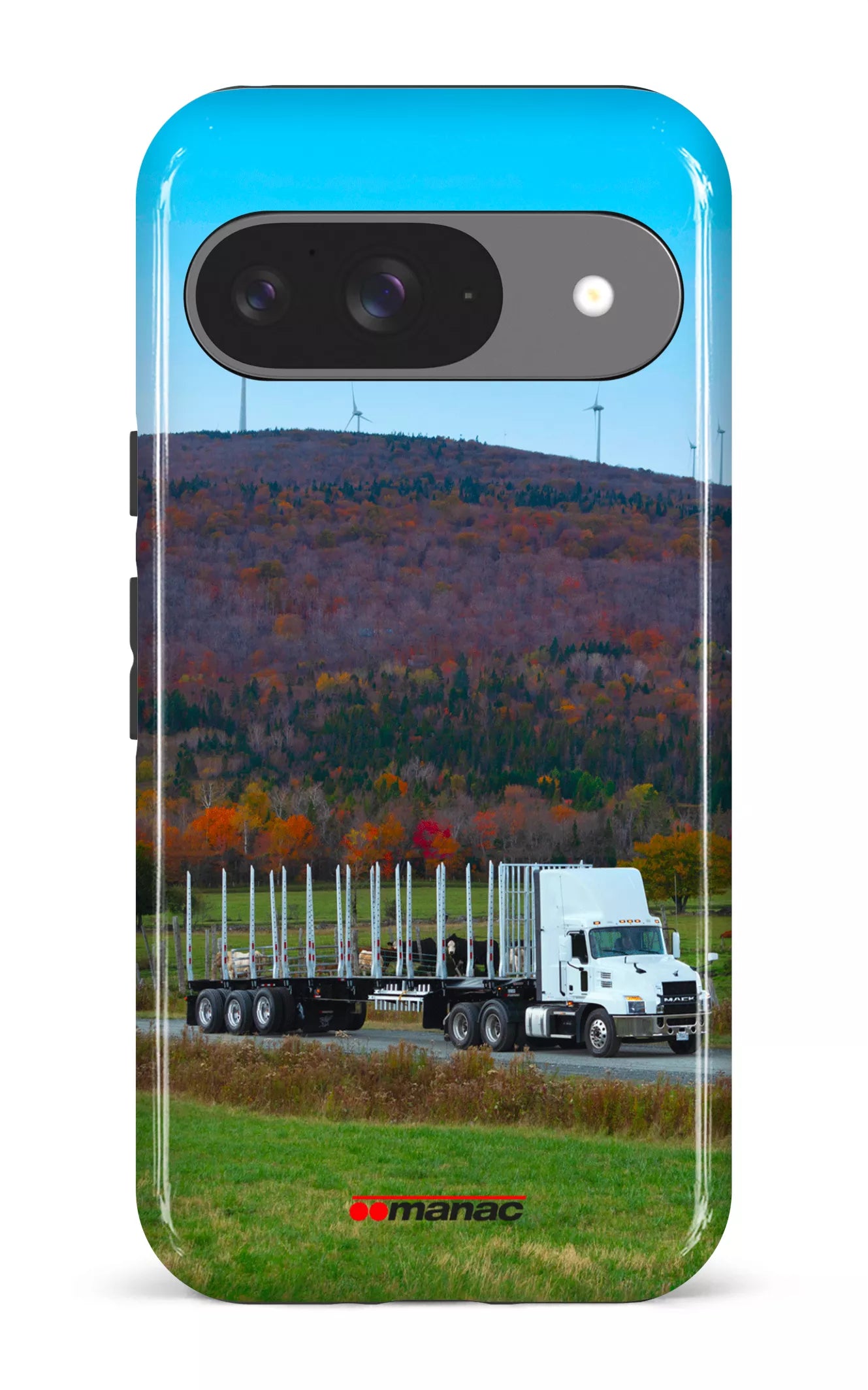 Google Pixel 9 Impact (Gloss) Billot Manac -
