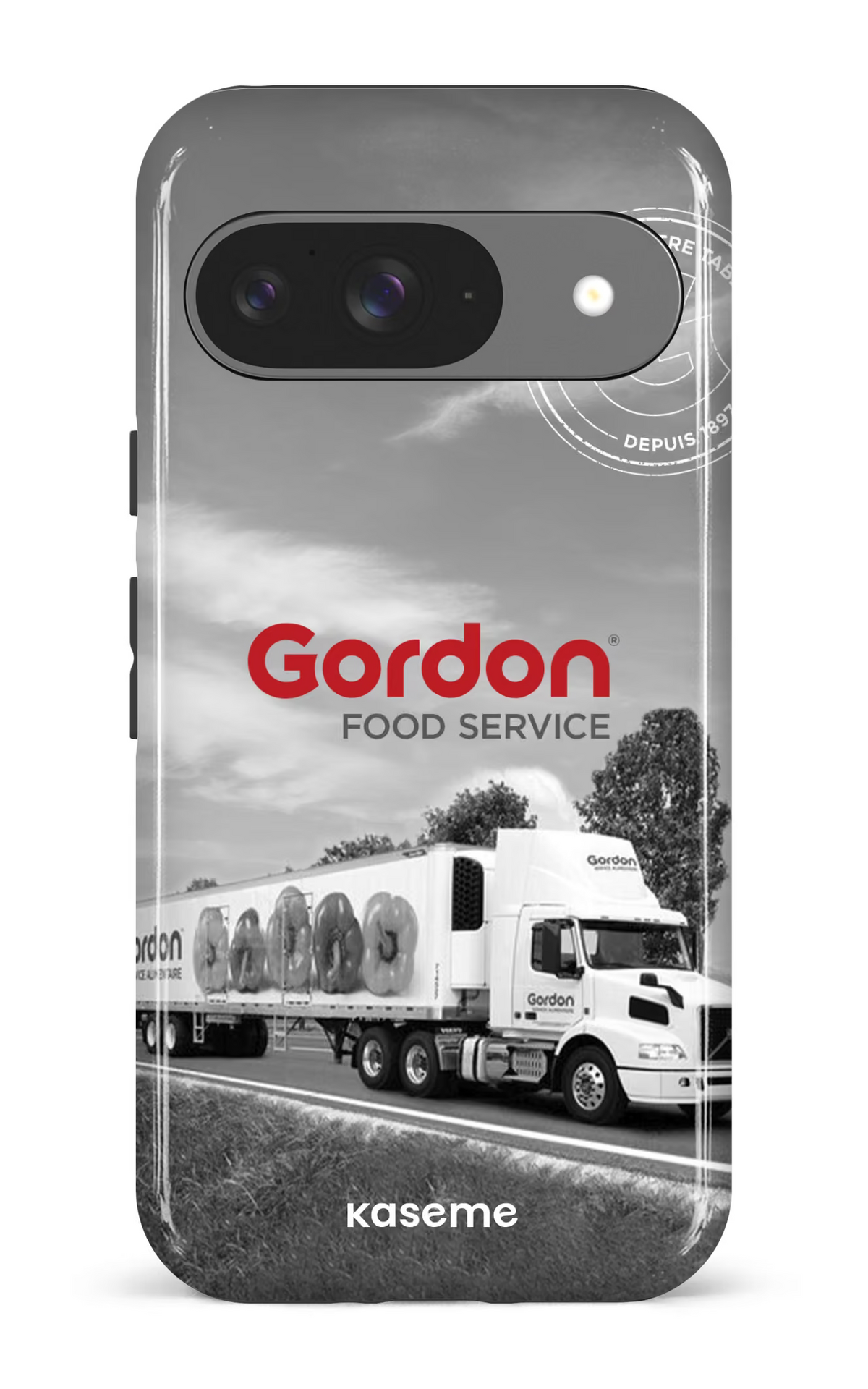 Google Pixel 9 Impact (Gloss) Gordon EN -