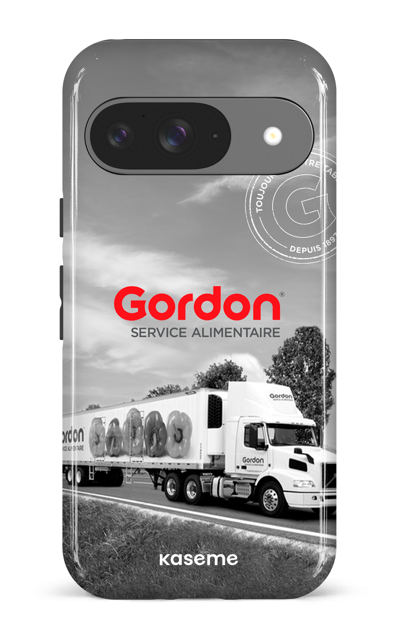 Google Pixel 9 Impact (Gloss) Gordon Francais -