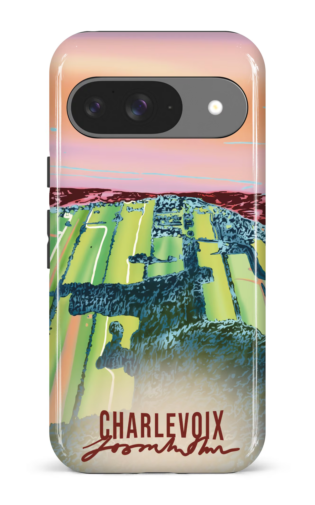 Google Pixel 9 Impact (Gloss) Le temps des courges -