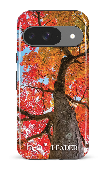 Google Pixel 9 Impact (Gloss) Maple by H2O -