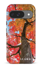 Google Pixel 9 Impact (Gloss) Maple by H2O -