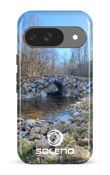 Google Pixel 9 Impact (Gloss) Soleno Nature 2 -