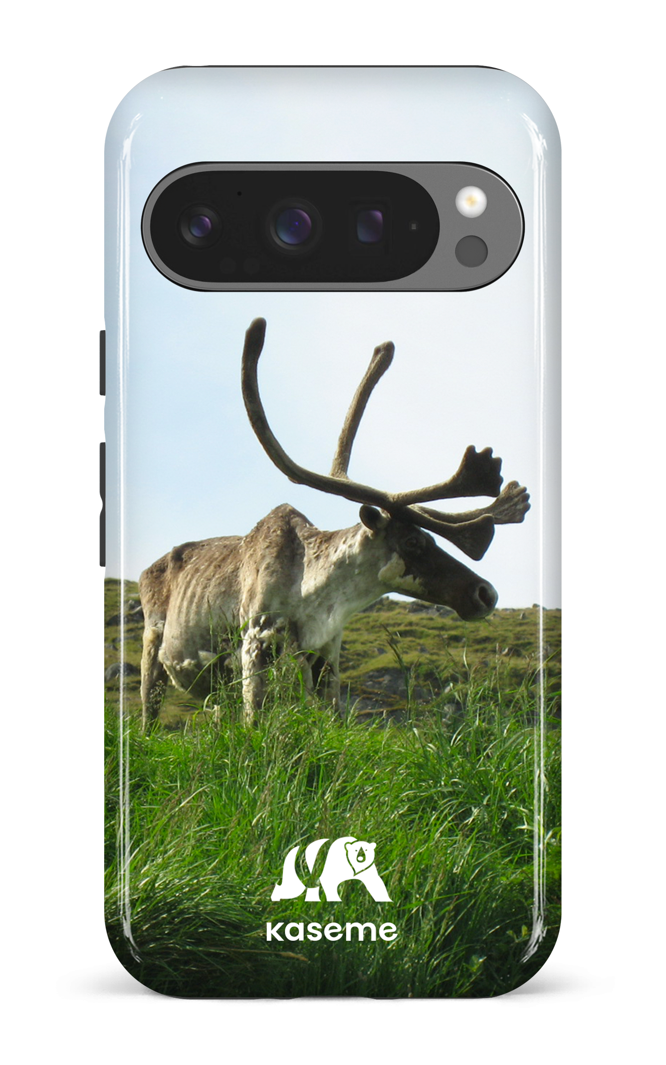 Google Pixel 9 Pro Impact (Gloss) Caribou -
