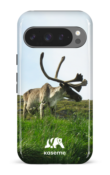 Google Pixel 9 Pro Impact (Gloss) Caribou -