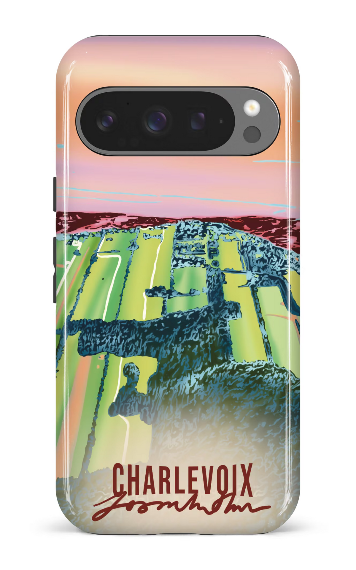 Google Pixel 9 Pro Impact (Gloss) (D) Le temps des courges -