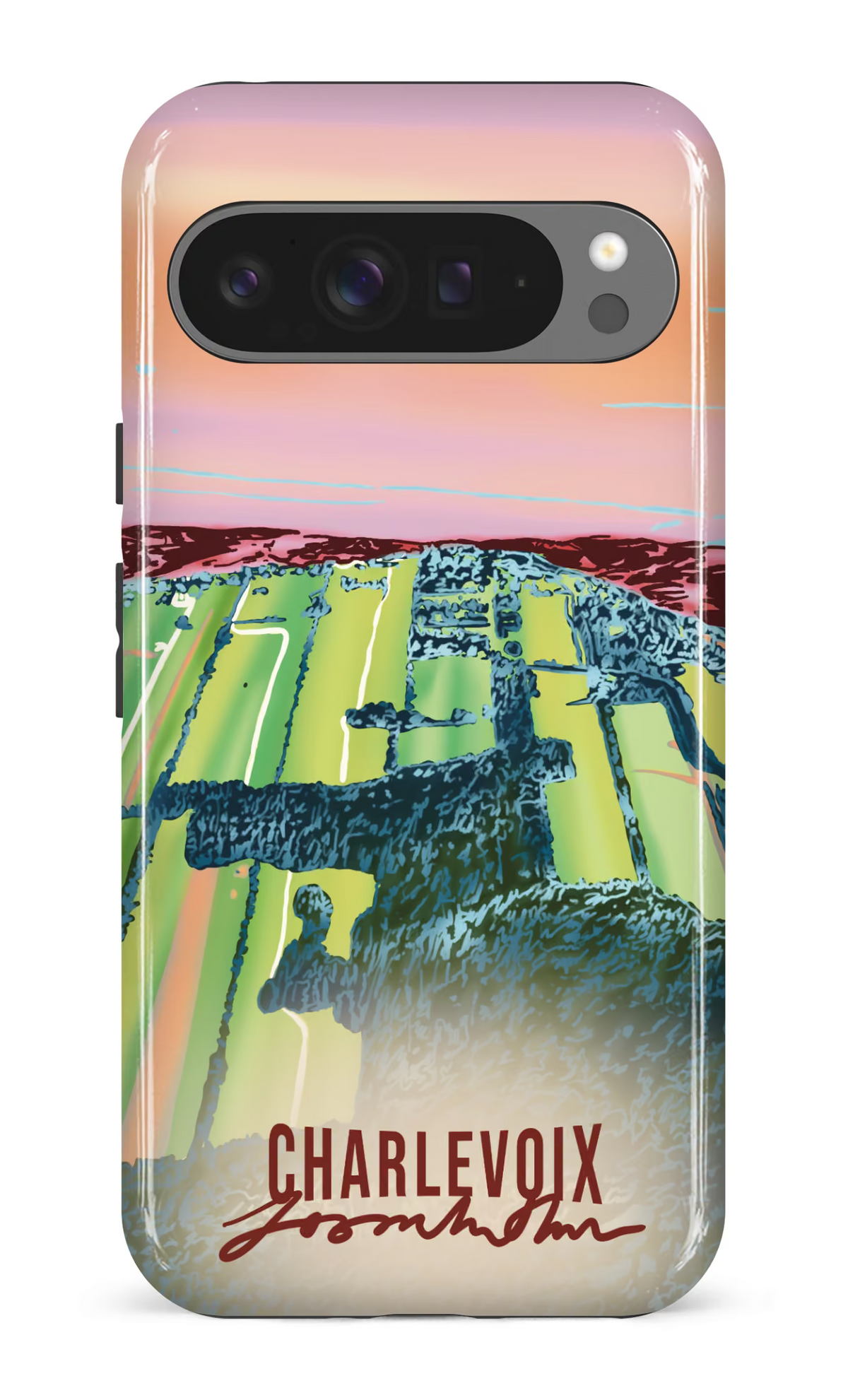 Google Pixel 9 Pro XL Impact (Gloss) Le temps des courges -