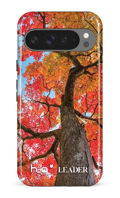 Google Pixel 9 Pro XL Impact (Gloss) Maple by H2O -
