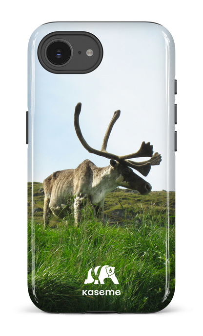 IPhone 16 E Impact Case Caribou -