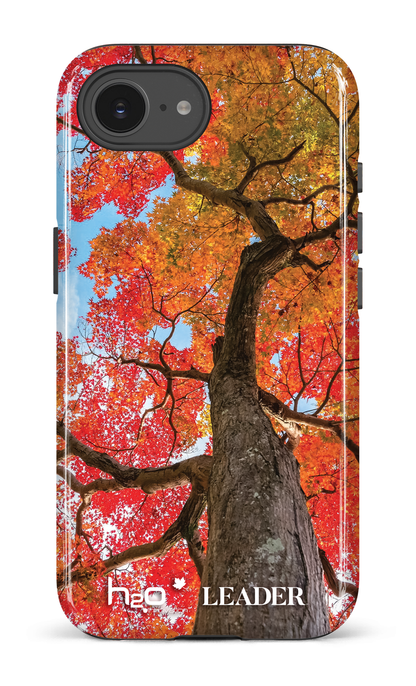 IPhone 16 E Impact Case Maple by H2O -