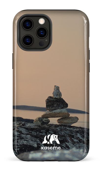 iPhone 12 Pro Max Tough Baie Déception -