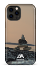 iPhone 12 Pro Max Tough Baie Déception -