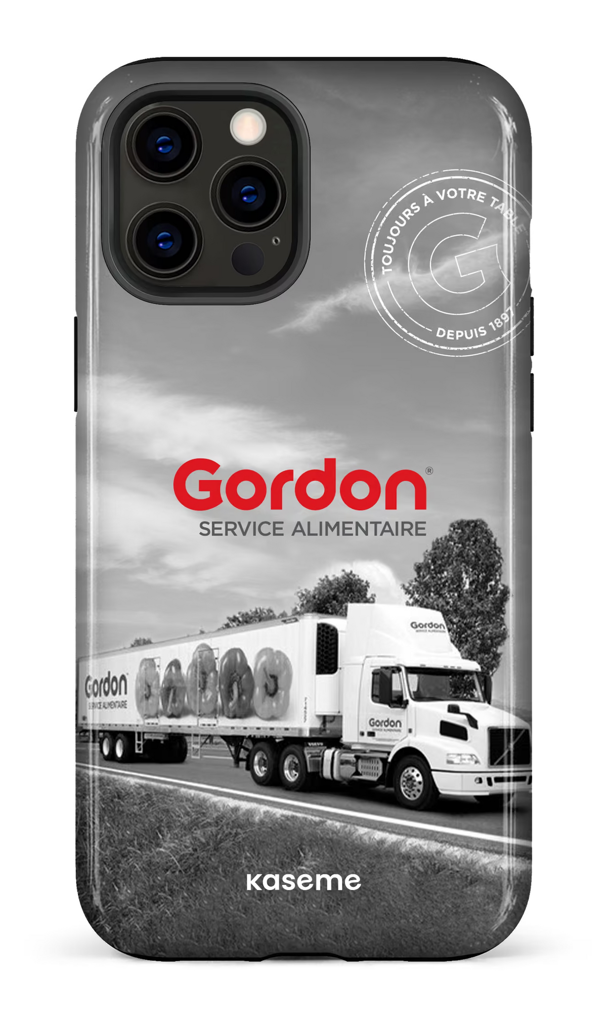 iPhone 12 Pro Max Tough Gordon FR -