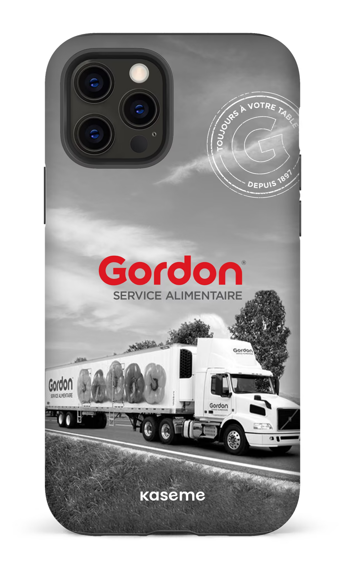 iPhone 12 Pro Tough Matte Gordon FR -