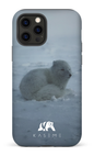 iPhone 12 Pro Tough Matte Renard Polaire -